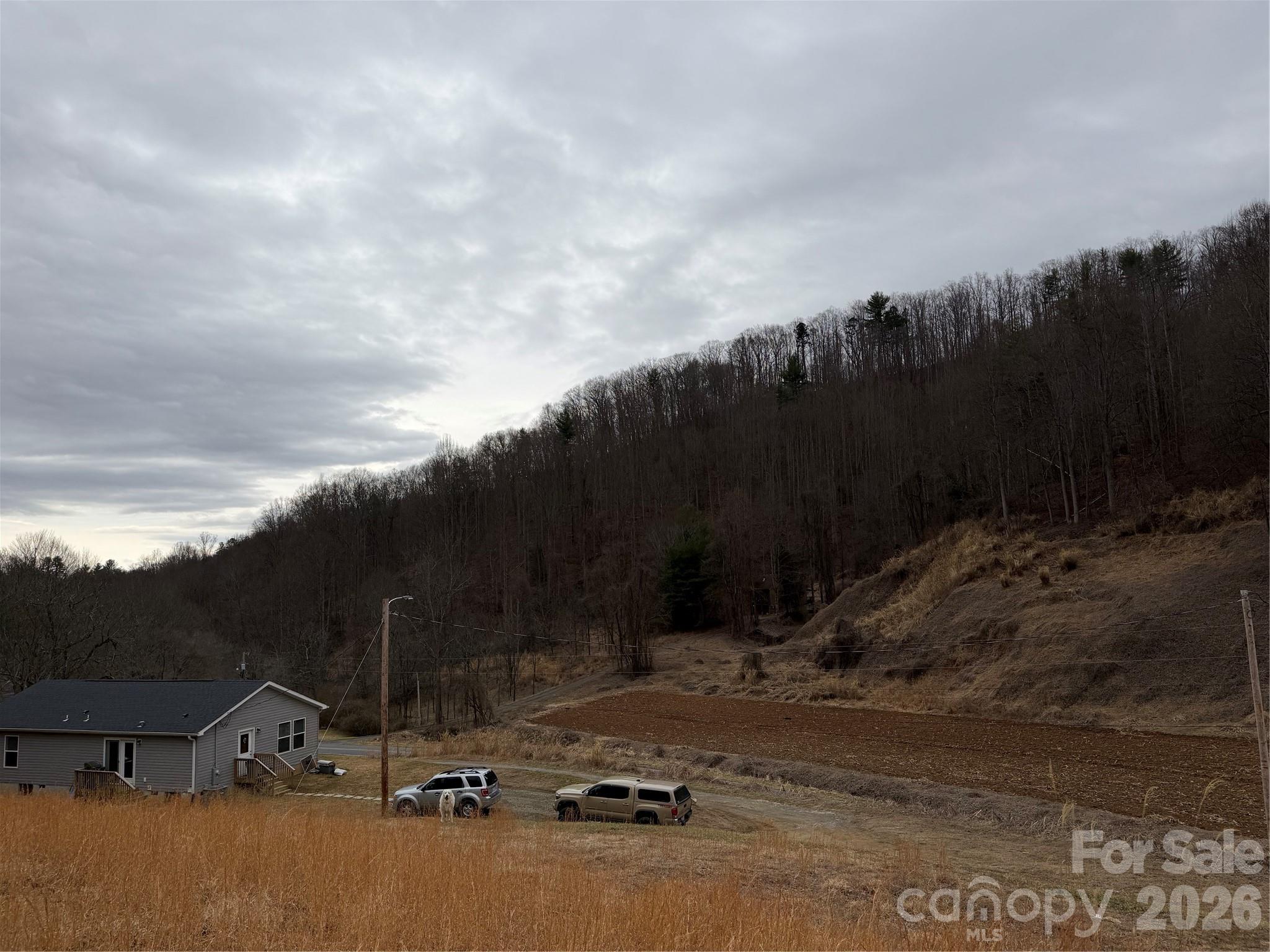 4958 Grapevine Road Marshall NC 28753