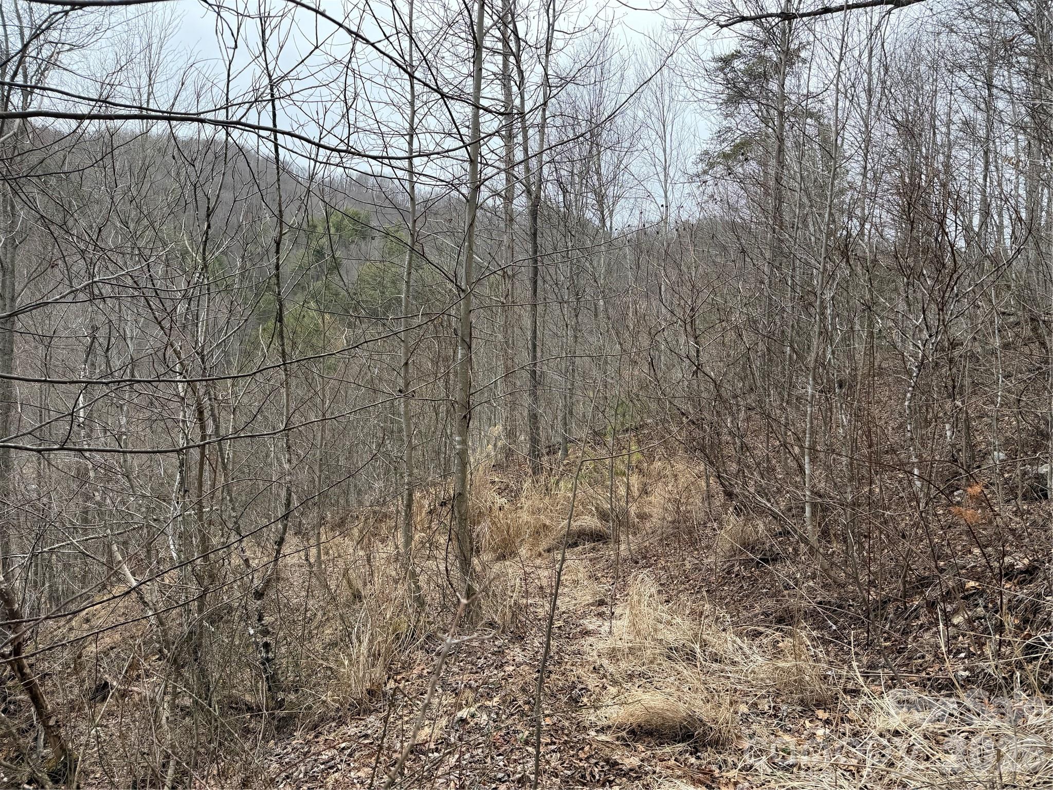 4958 Grapevine Road Marshall NC 28753