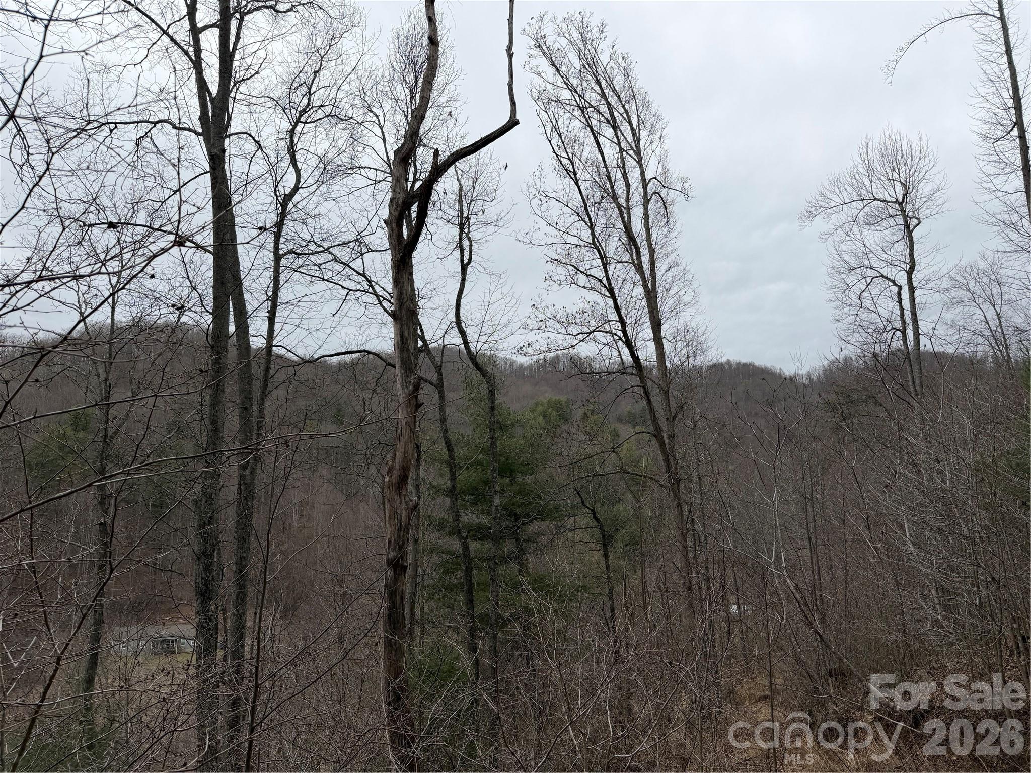 4958 Grapevine Road Marshall NC 28753