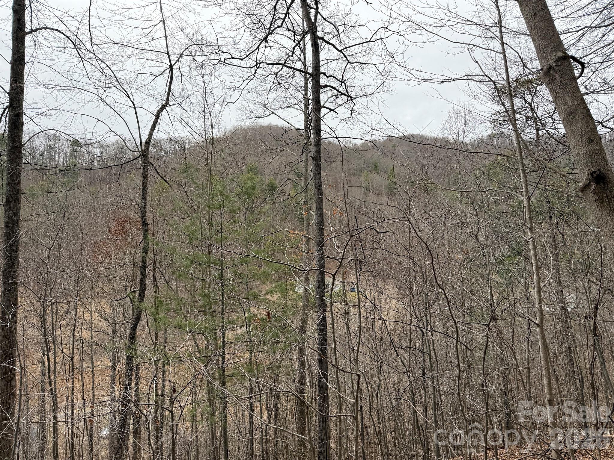4958 Grapevine Road Marshall NC 28753