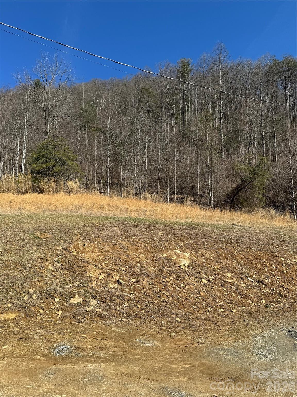 4958 Grapevine Road Marshall NC 28753