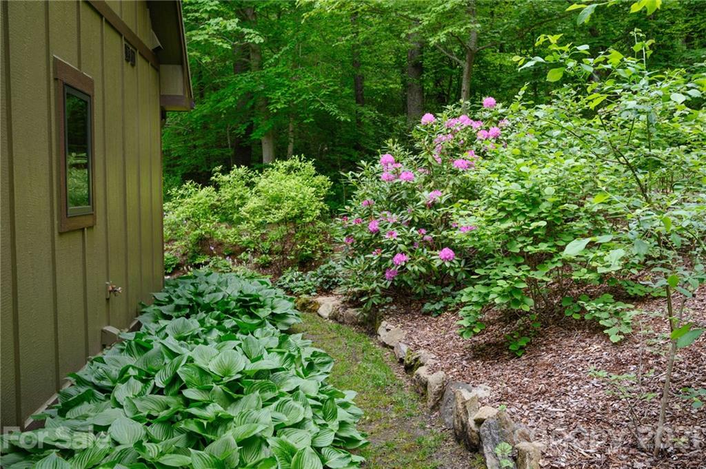 54 Swanger Road Asheville NC 28805