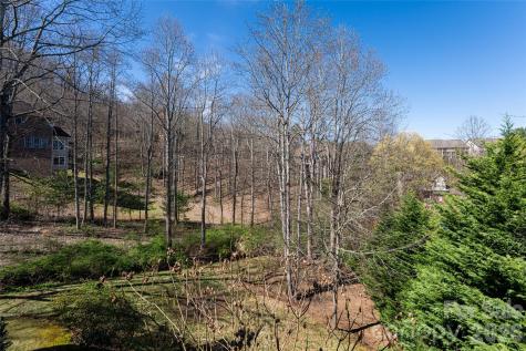 47 Timberwood Drive Asheville NC 28806