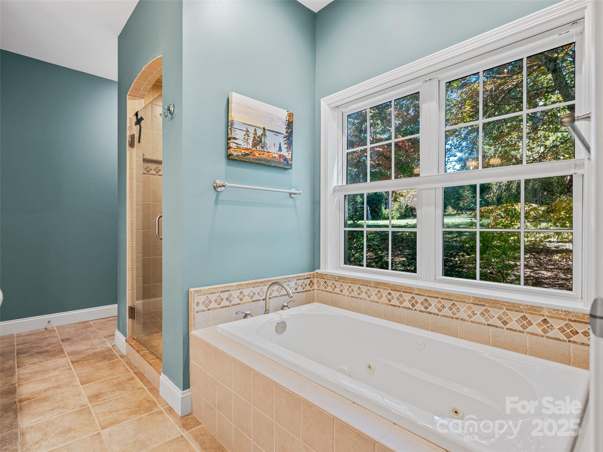 15 Ozark Spring Lane Asheville NC 28805