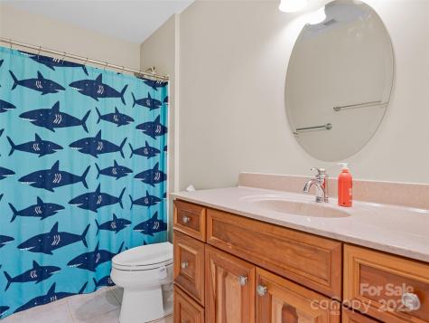 15 Ozark Spring Lane Asheville NC 28805