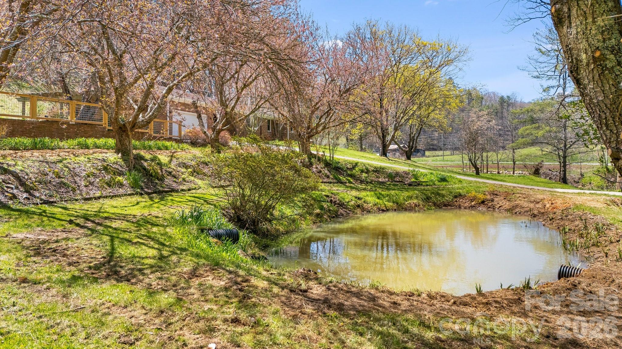 6334 Jacks Creek Road Burnsville NC 28714