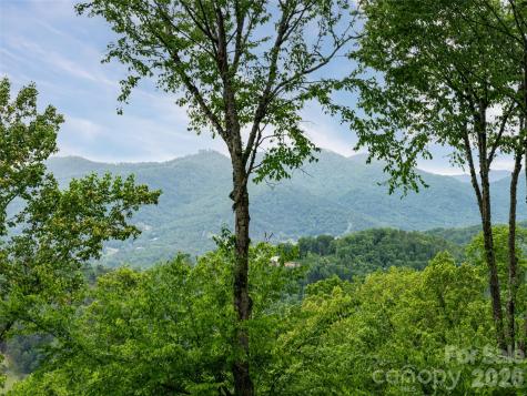 29 Elk Ridge Drive Asheville NC 28804