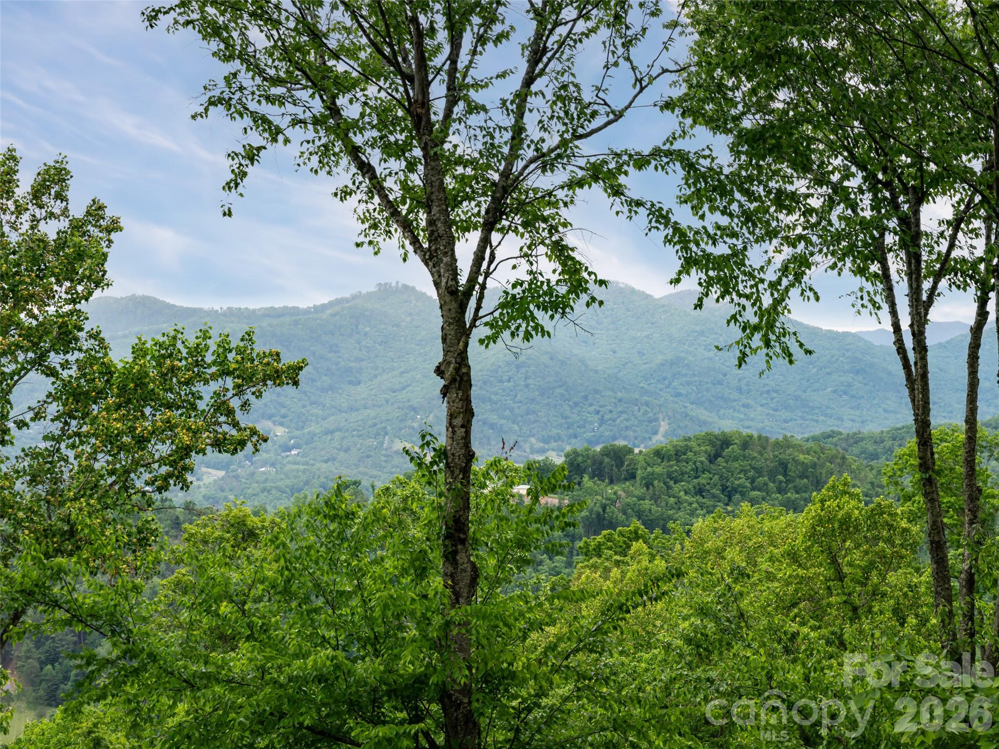 29 Elk Ridge Drive Asheville NC 28804