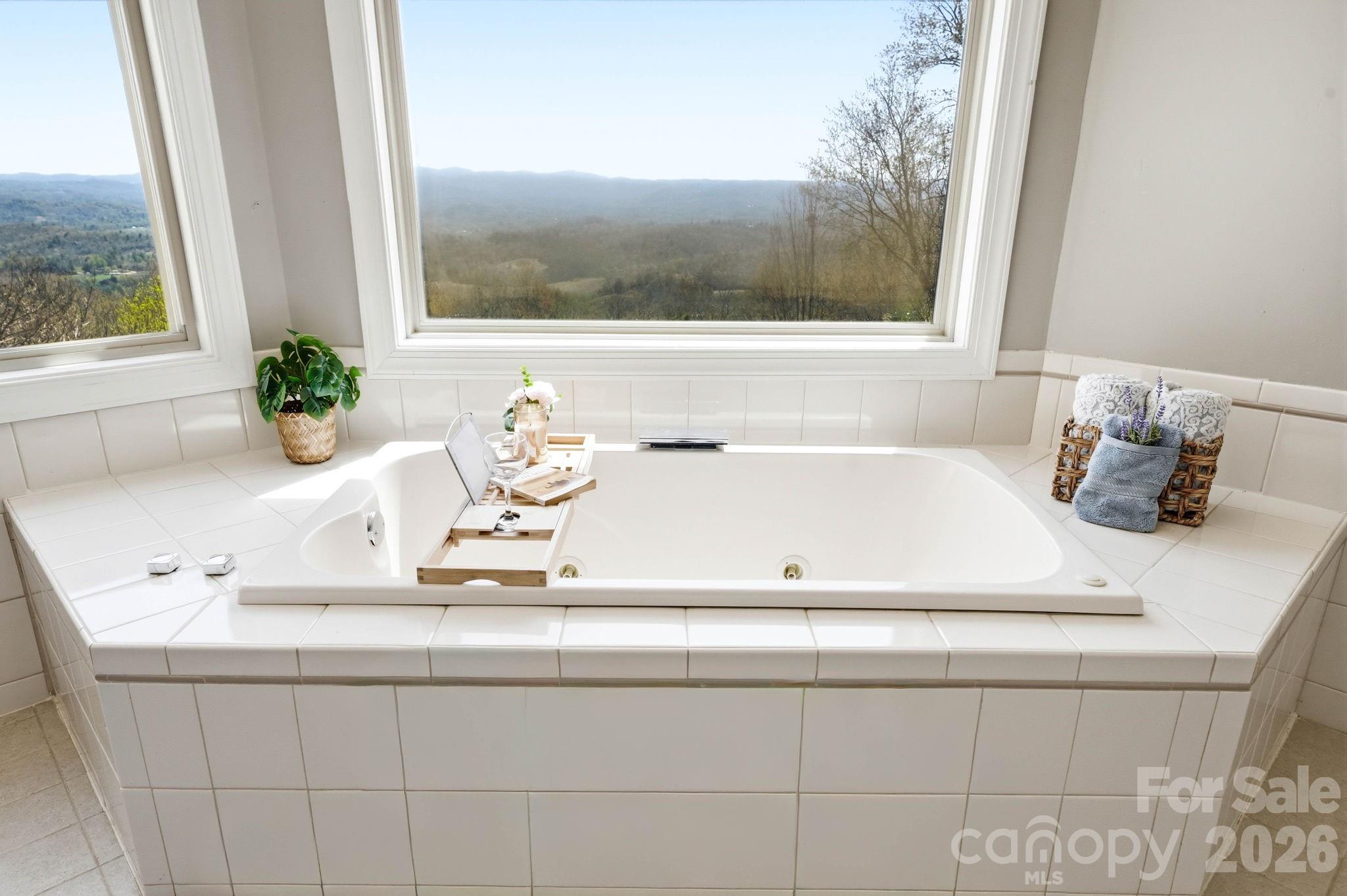 301 Forge Crest Drive Mills River NC 28759
