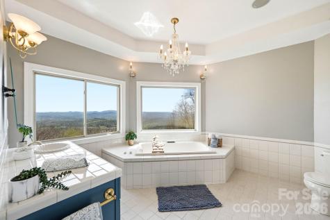 301 Forge Crest Drive Mills River NC 28759