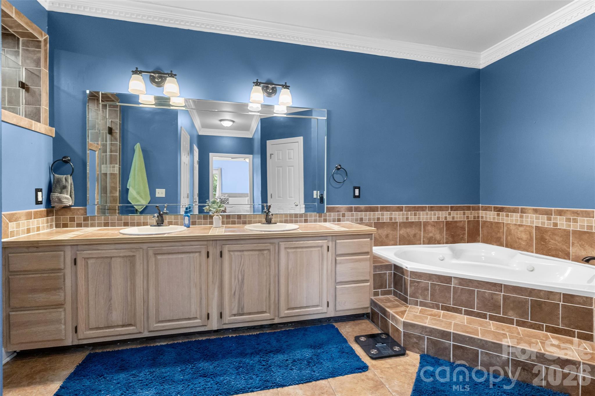 217 Spring Run Drive Mooresville NC 28117