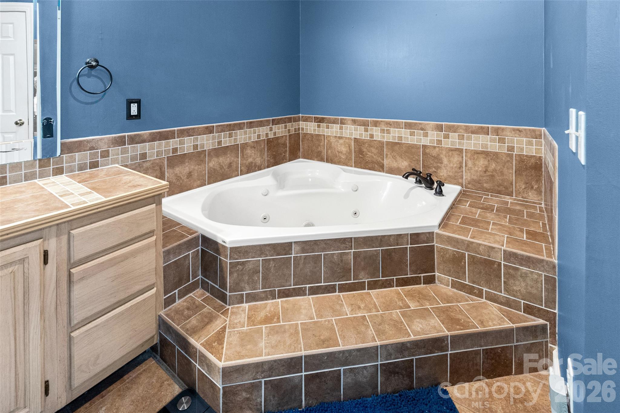 217 Spring Run Drive Mooresville NC 28117