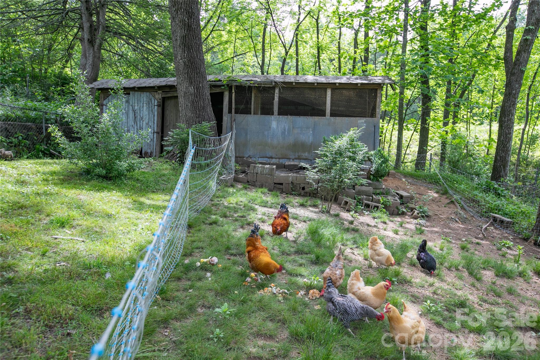 470 Cherryfield Loop Brevard NC 28712