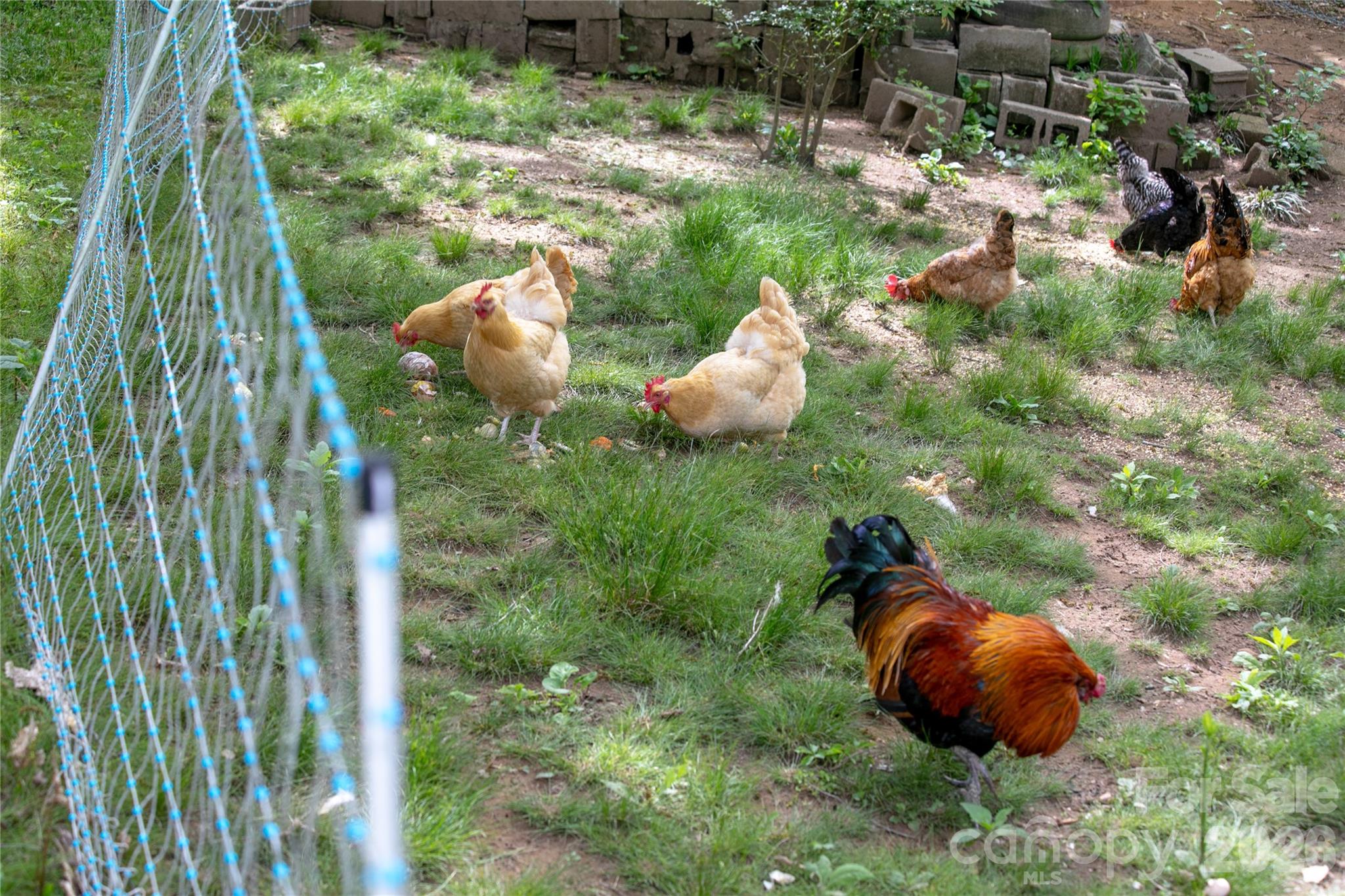 470 Cherryfield Loop Brevard NC 28712