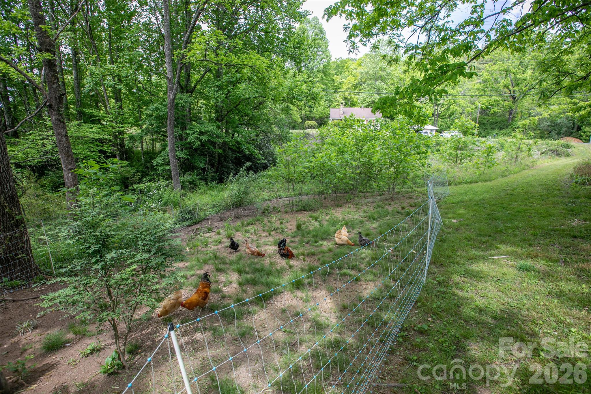 470 Cherryfield Loop Brevard NC 28712