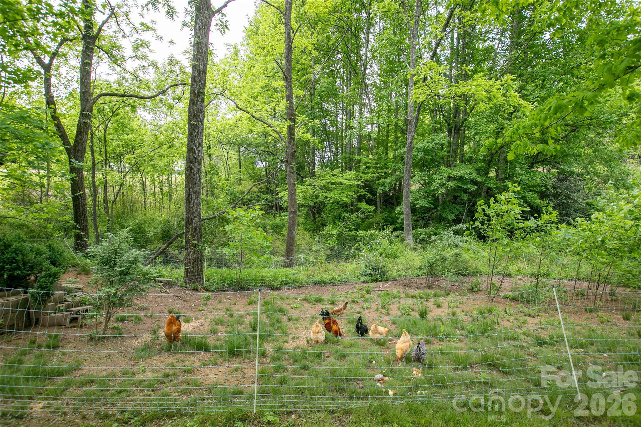 470 Cherryfield Loop Brevard NC 28712