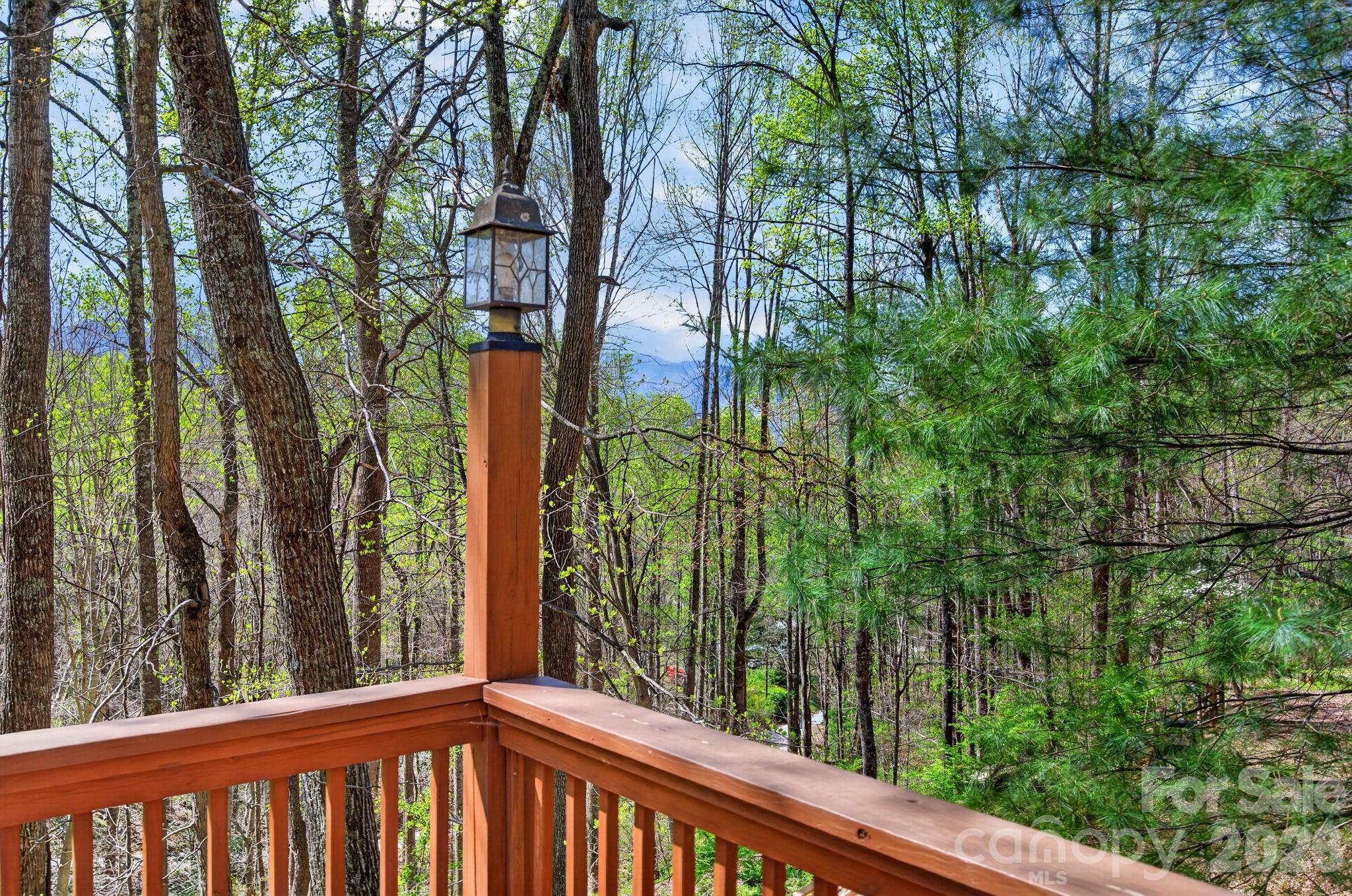 32 Seldom Home Drive Black Mountain NC 28711