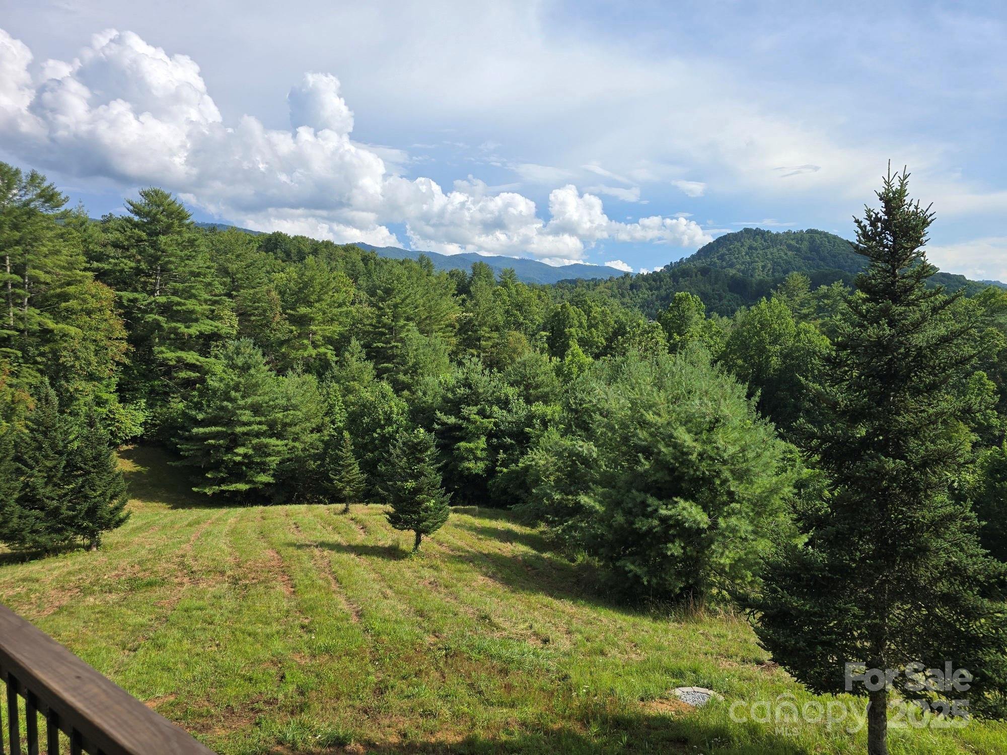 71 Banks Creek Road Burnsville NC 28714