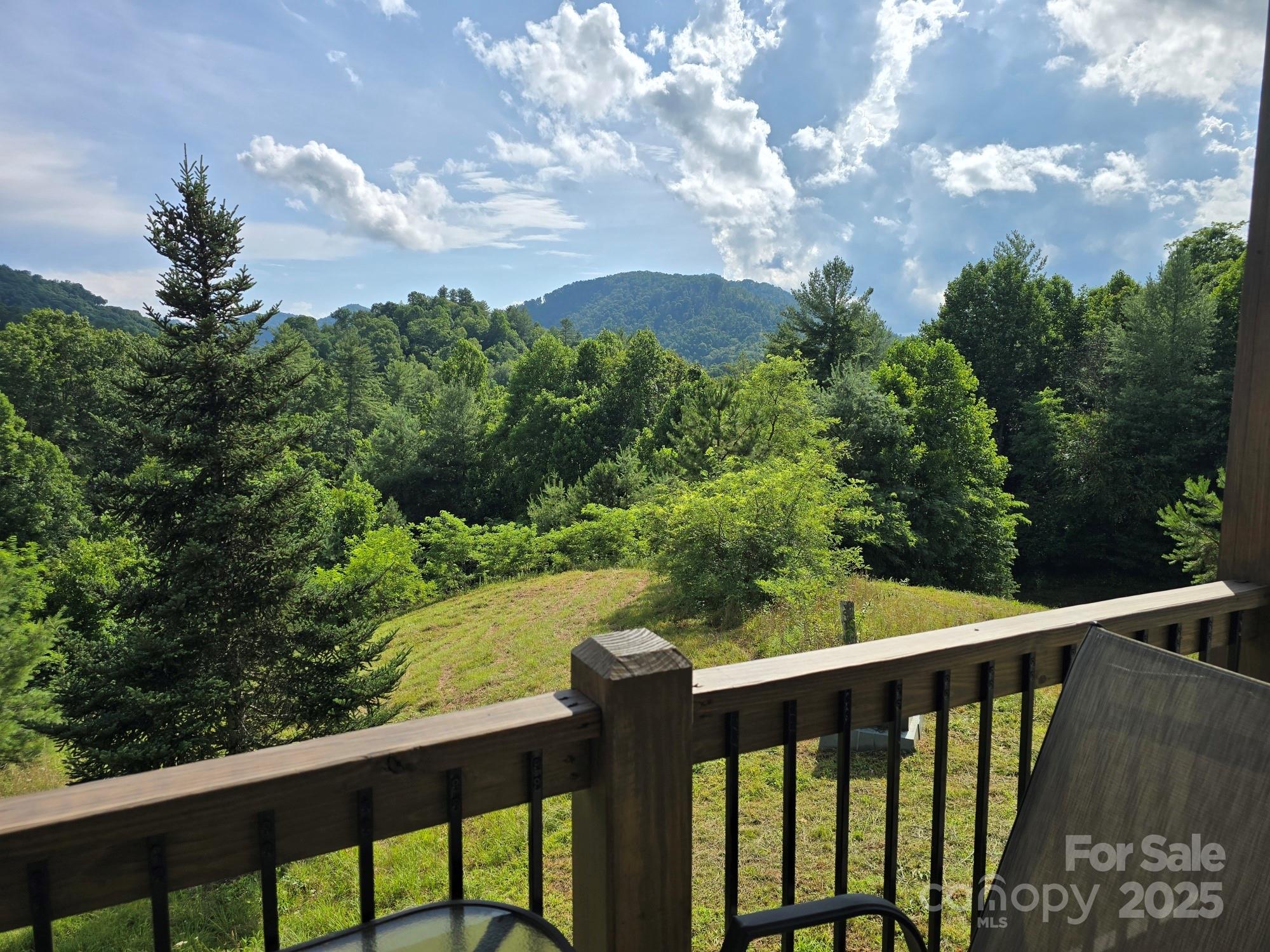 71 Banks Creek Road Burnsville NC 28714