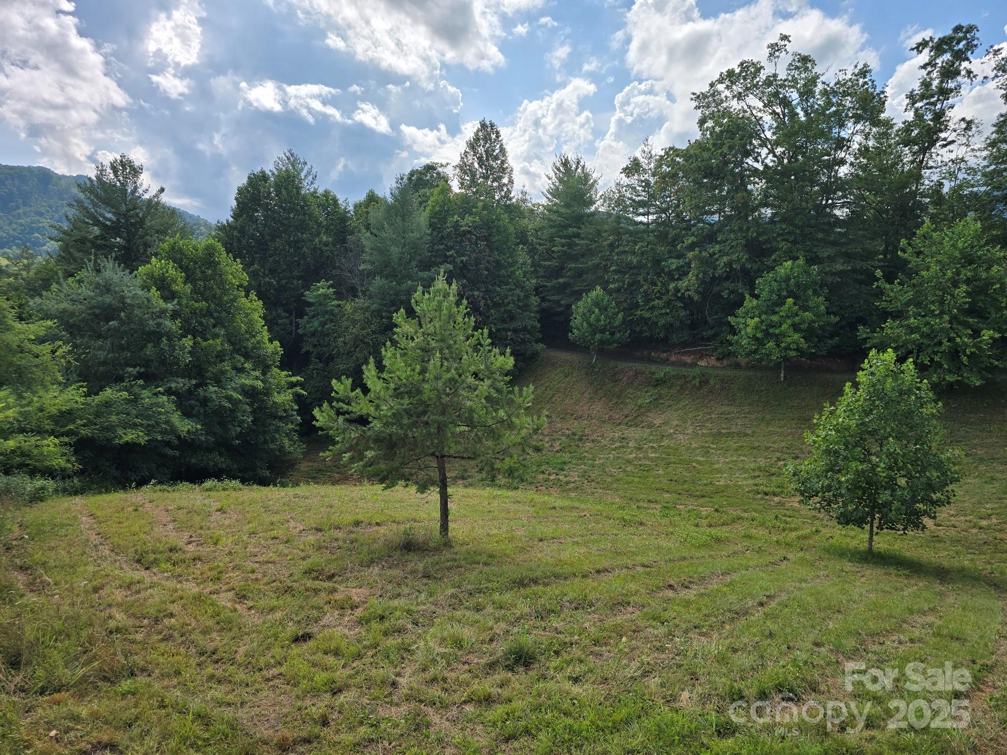 71 Banks Creek Road Burnsville NC 28714