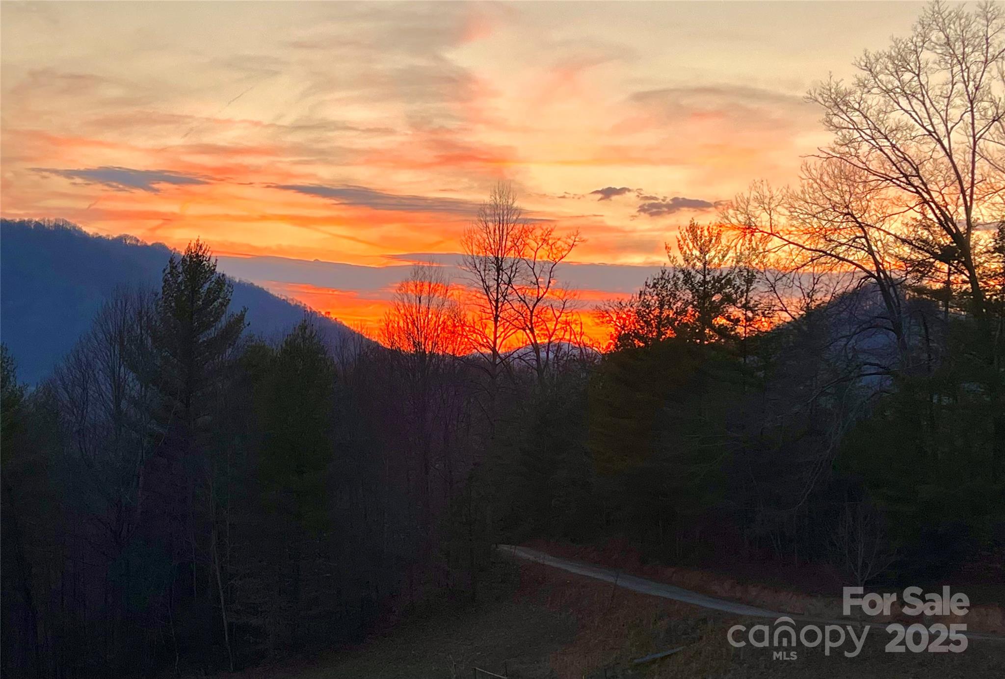 71 Banks Creek Road Burnsville NC 28714