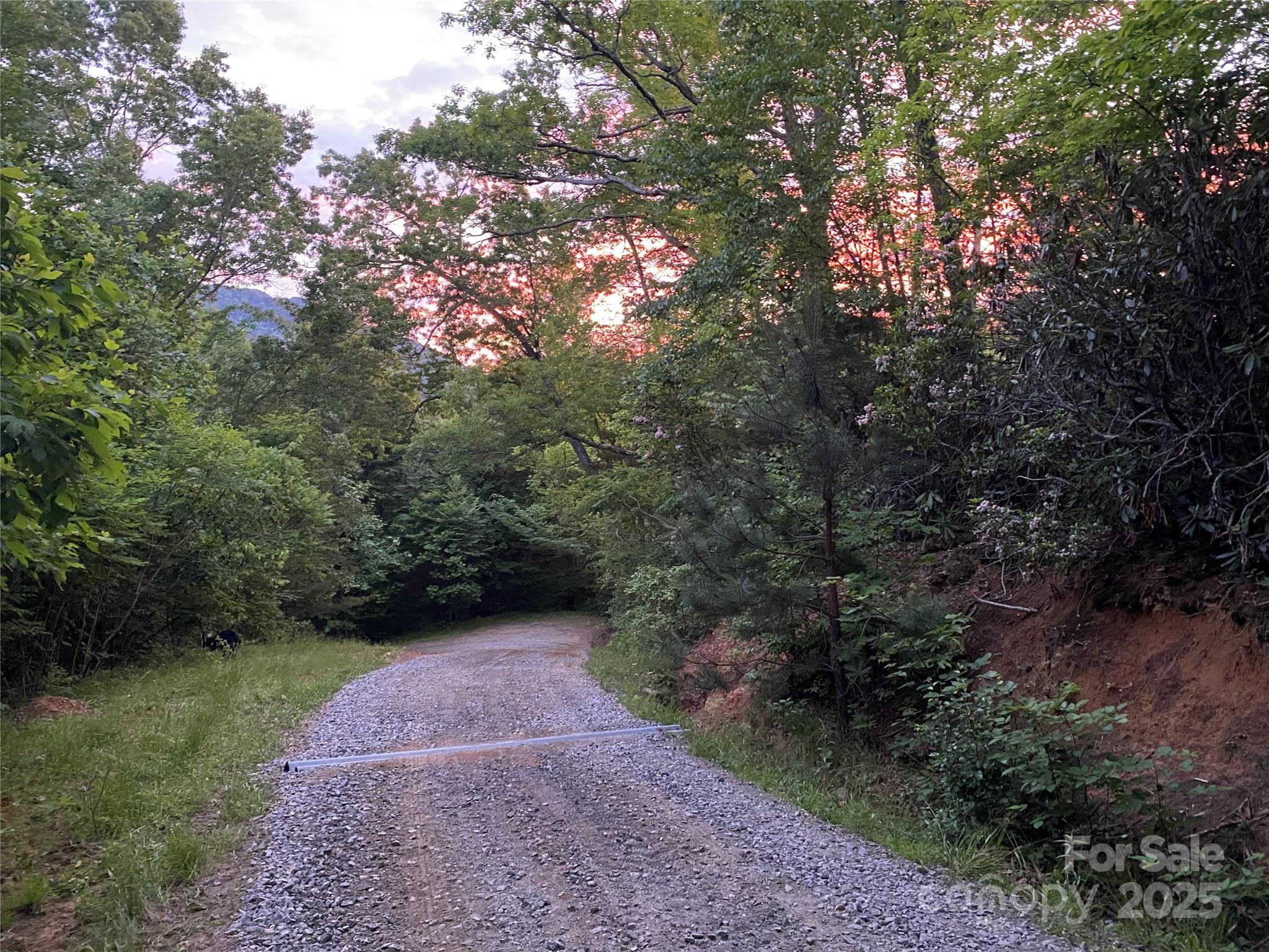 71 Banks Creek Road Burnsville NC 28714
