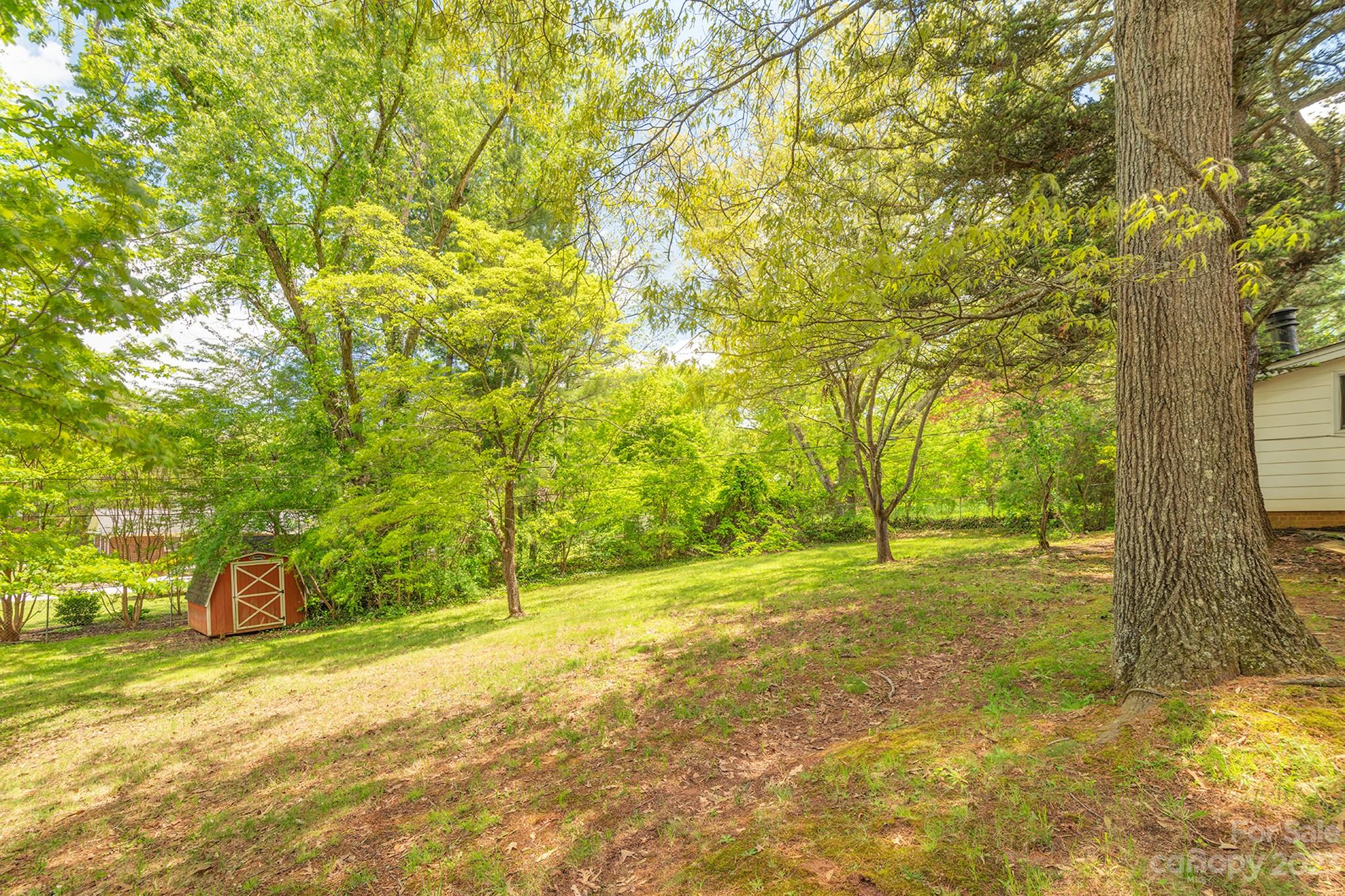 10 Wagon Road Asheville NC 28805