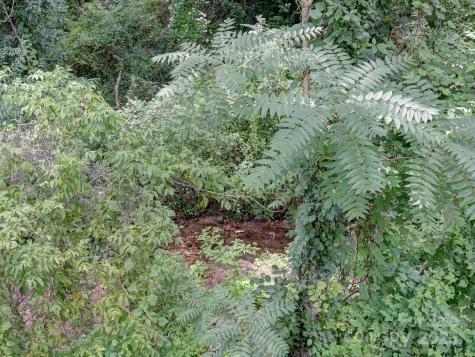 153 State Street Asheville NC 28806