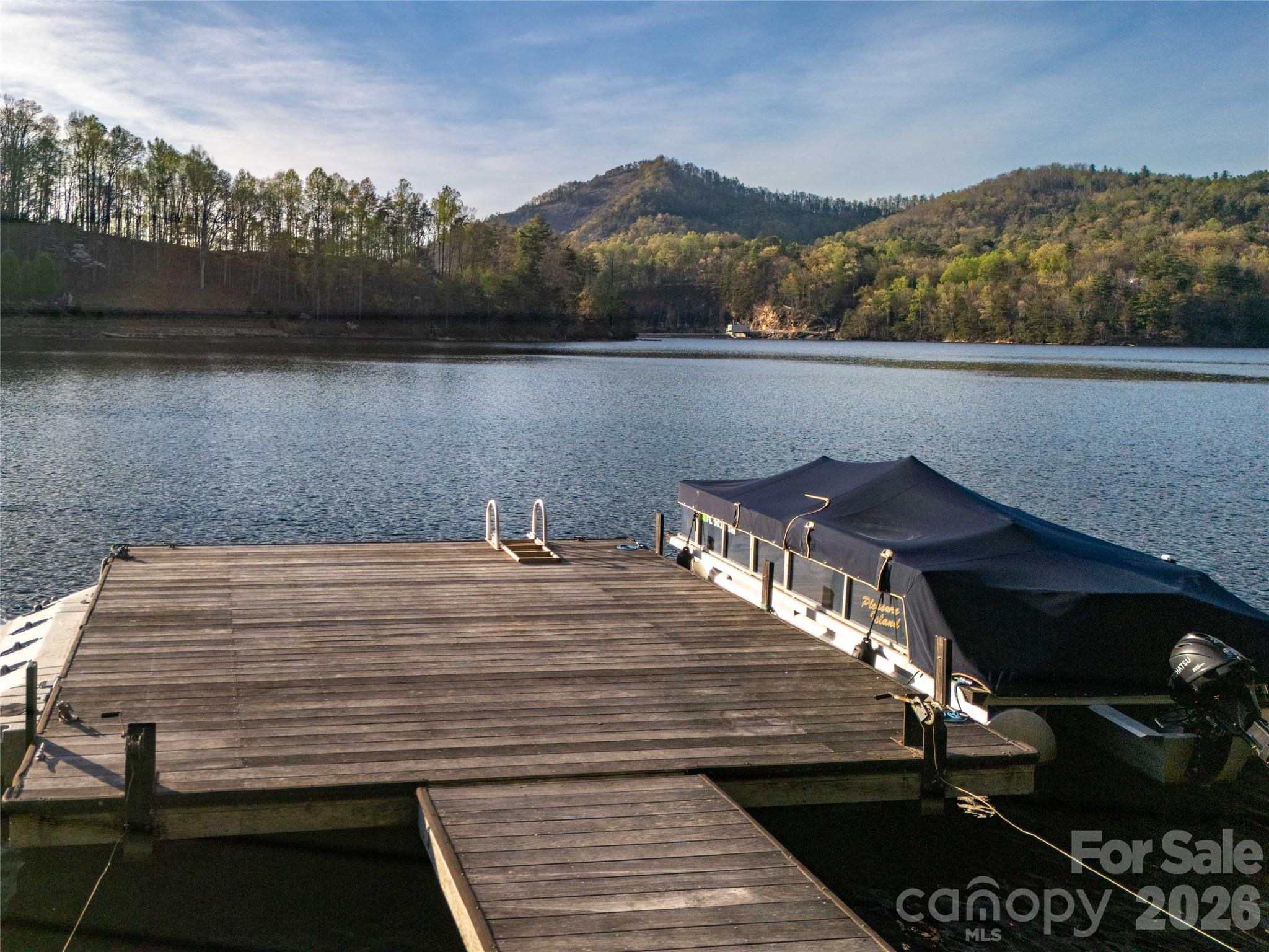 98 Eagle Watch Drive Tuckasegee NC 28783