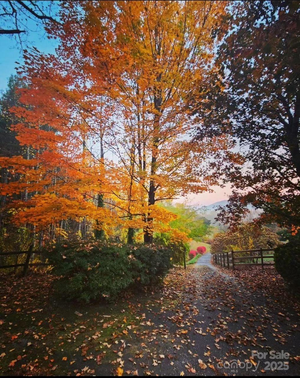 74 Huntley Road Fletcher NC 28732