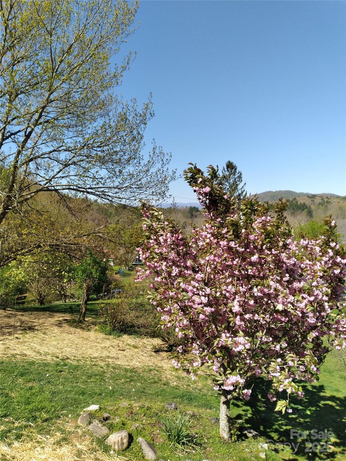 74 Huntley Road Fletcher NC 28732