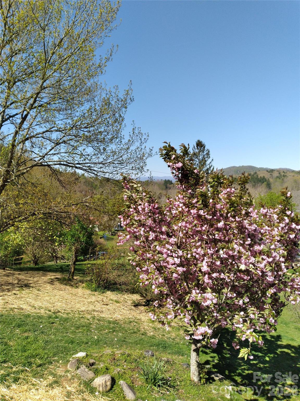 74 Huntley Road Fletcher NC 28732