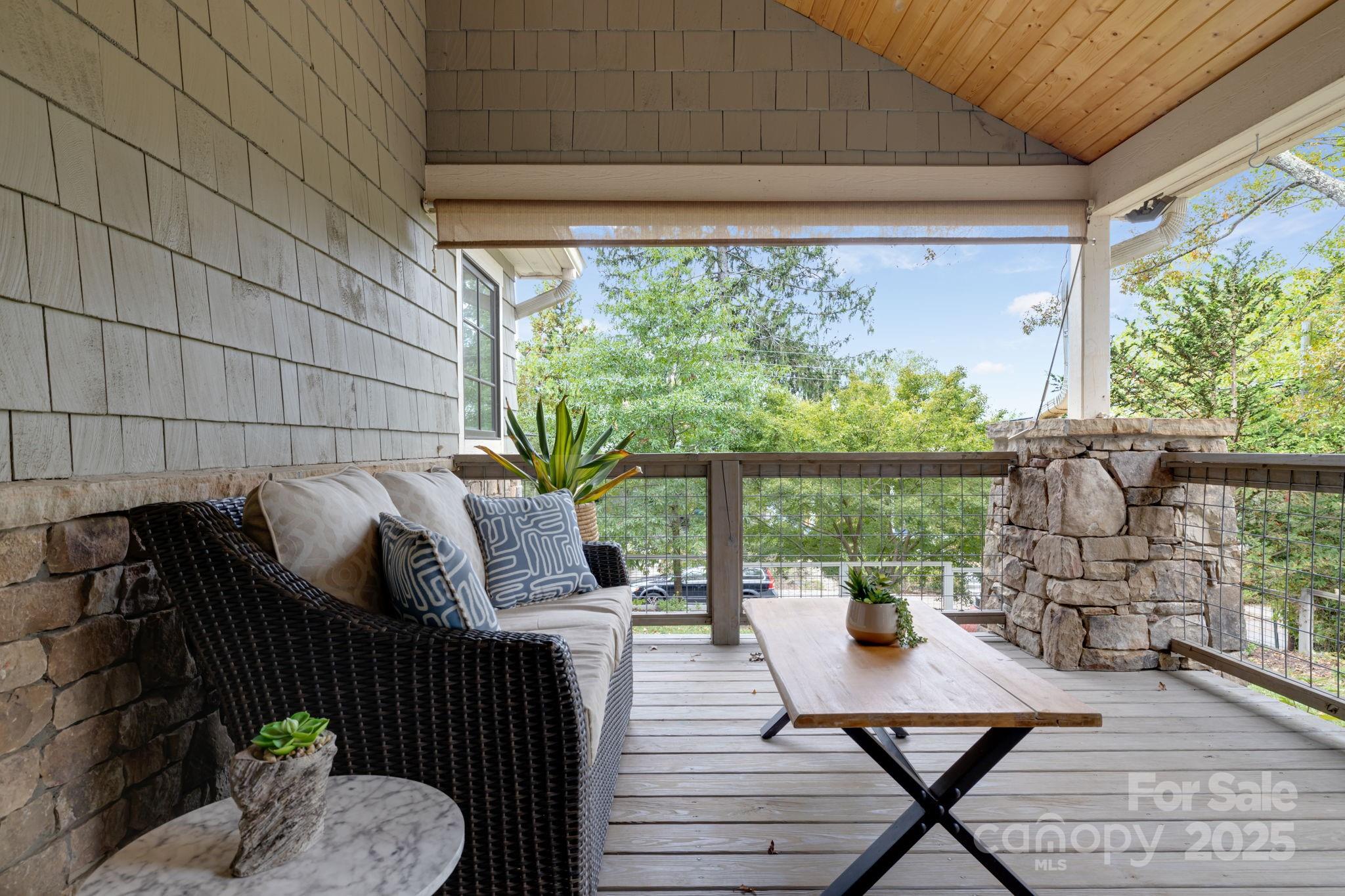 19 Albemarle Road Asheville NC 28801