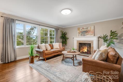 19 Albemarle Road Asheville NC 28801