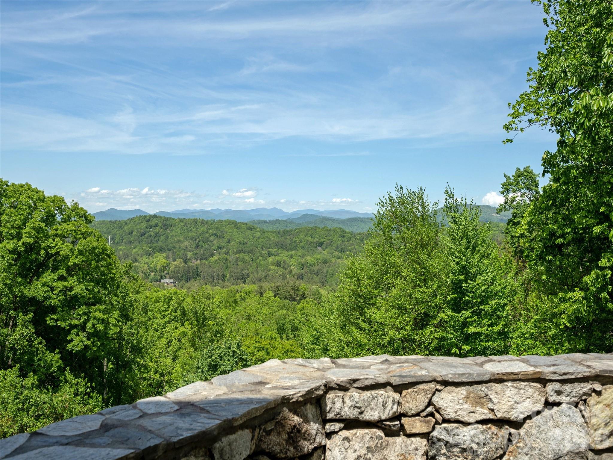 35 Carriage Forest Court Hendersonville NC 28791