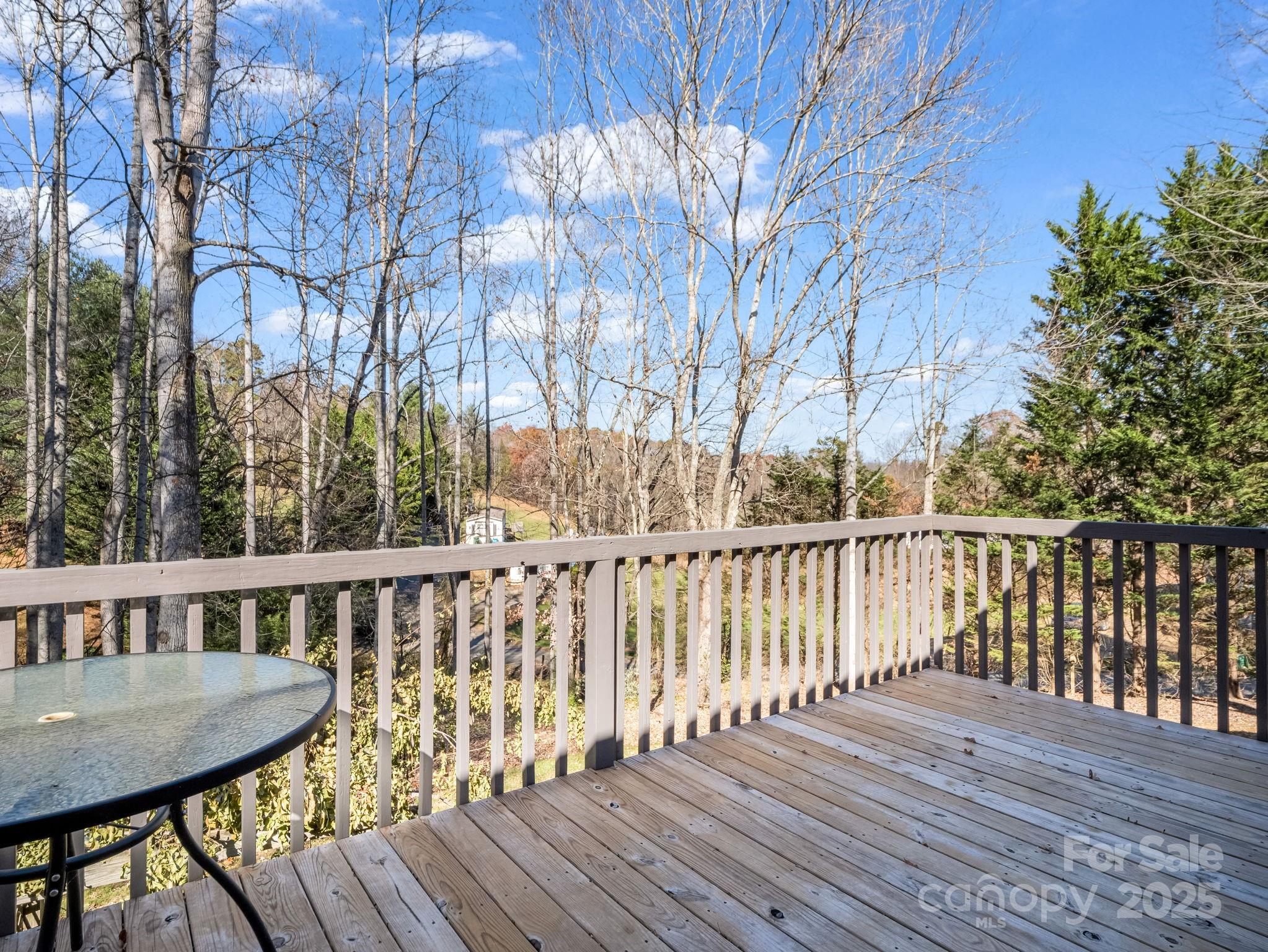 171 Dix Creek #2 Road Leicester NC 28748
