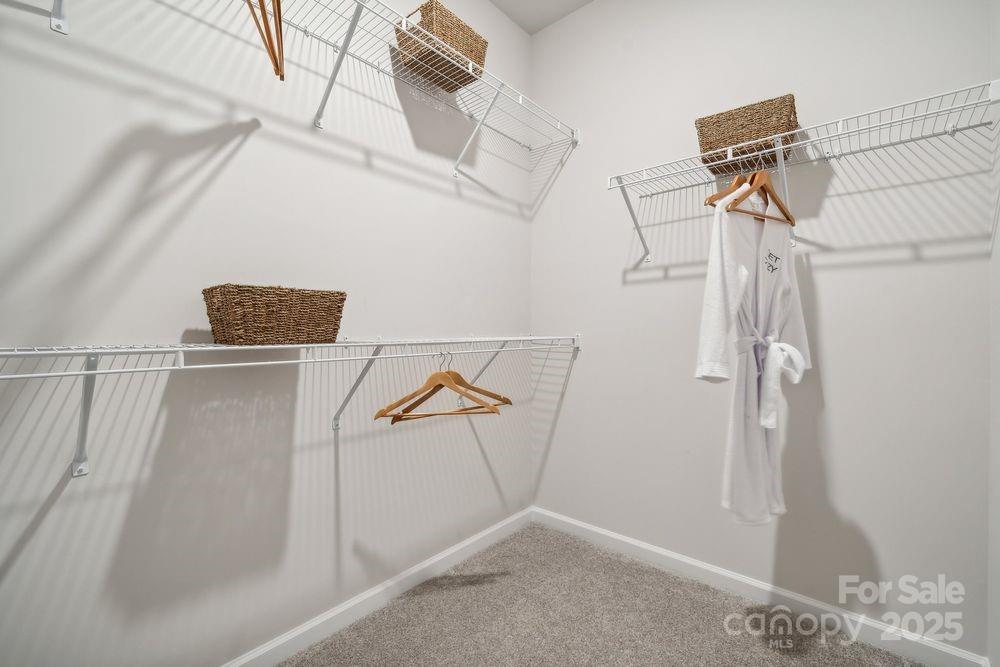 3114 Stelfox Street Charlotte NC 28262