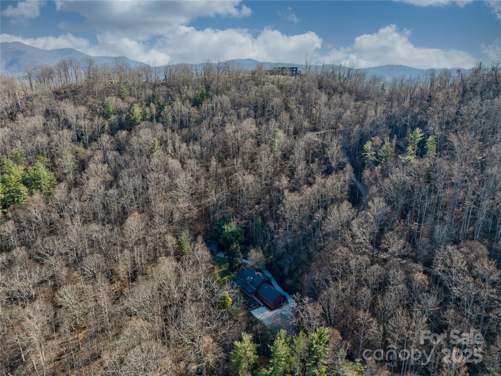 82 Dula Cove Weaverville NC 28787