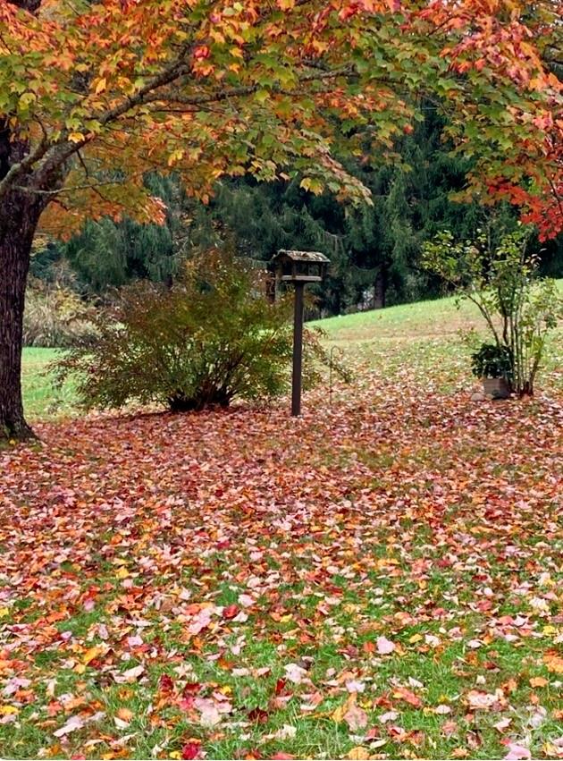 504 Greens Creek Road Sylva NC 28779