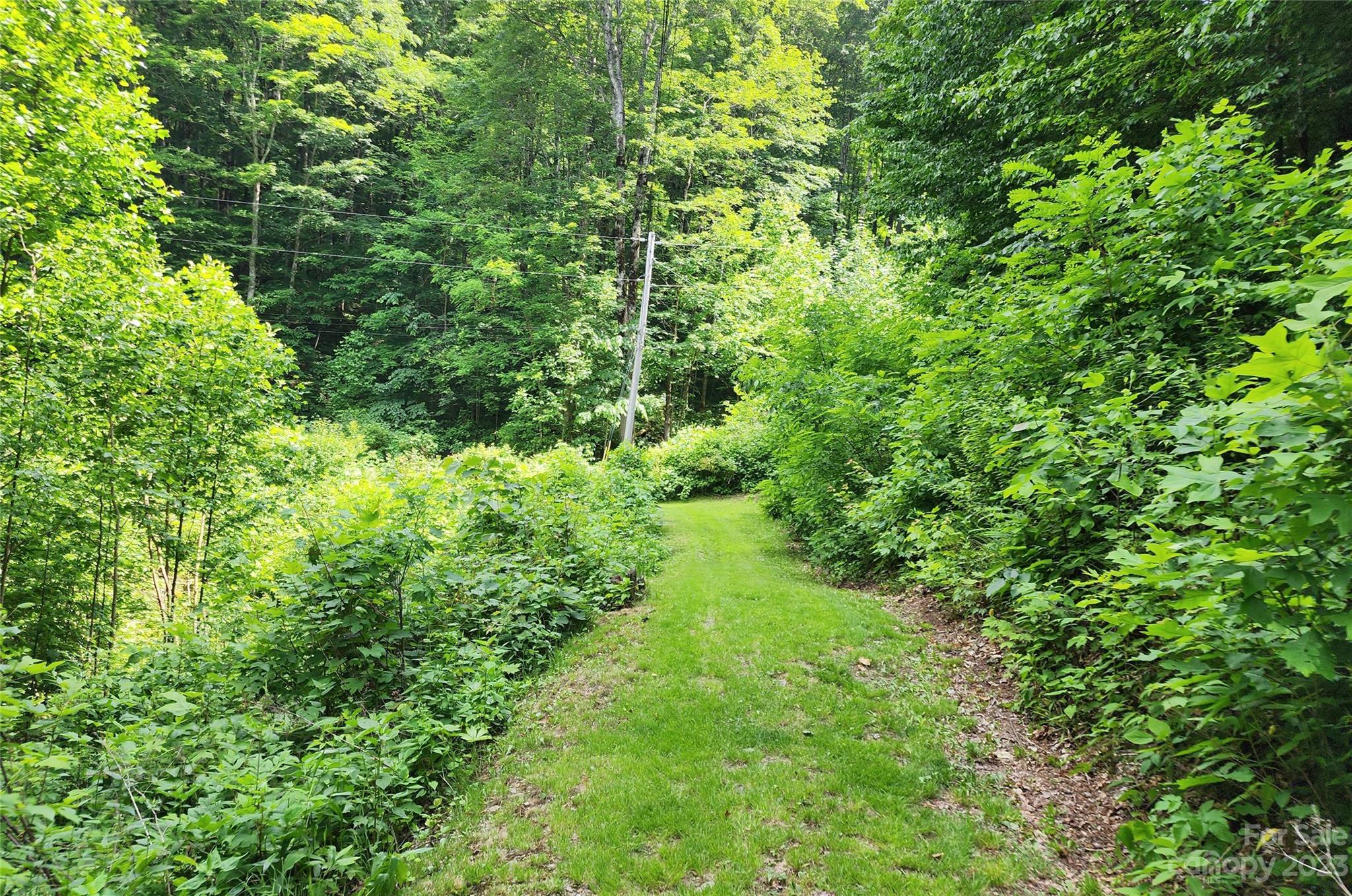 436 Ogles Gap Road Burnsville NC 28714