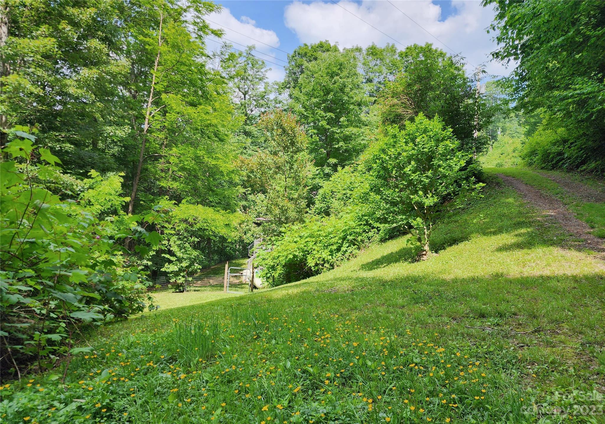 436 Ogles Gap Road Burnsville NC 28714