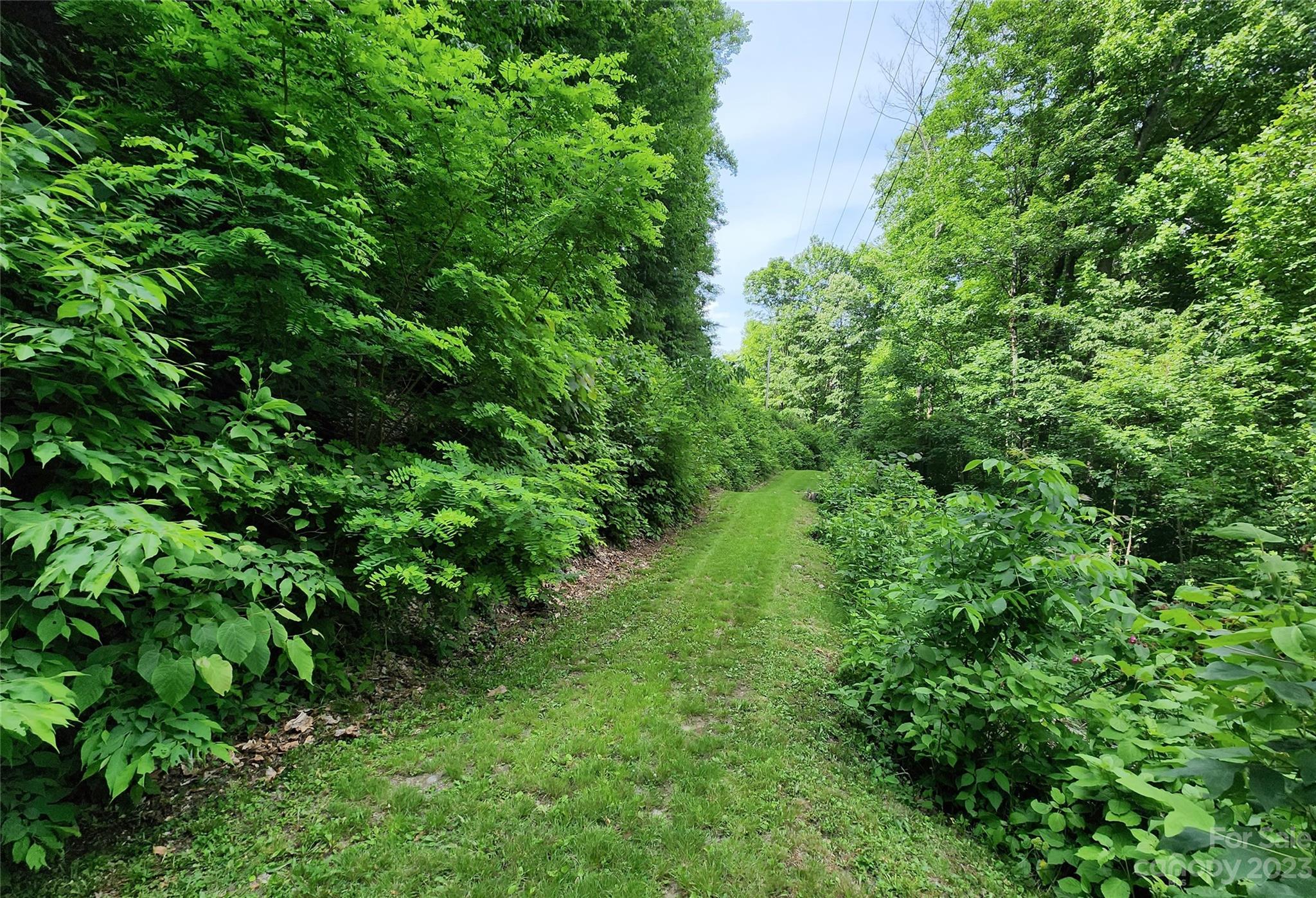 436 Ogles Gap Road Burnsville NC 28714