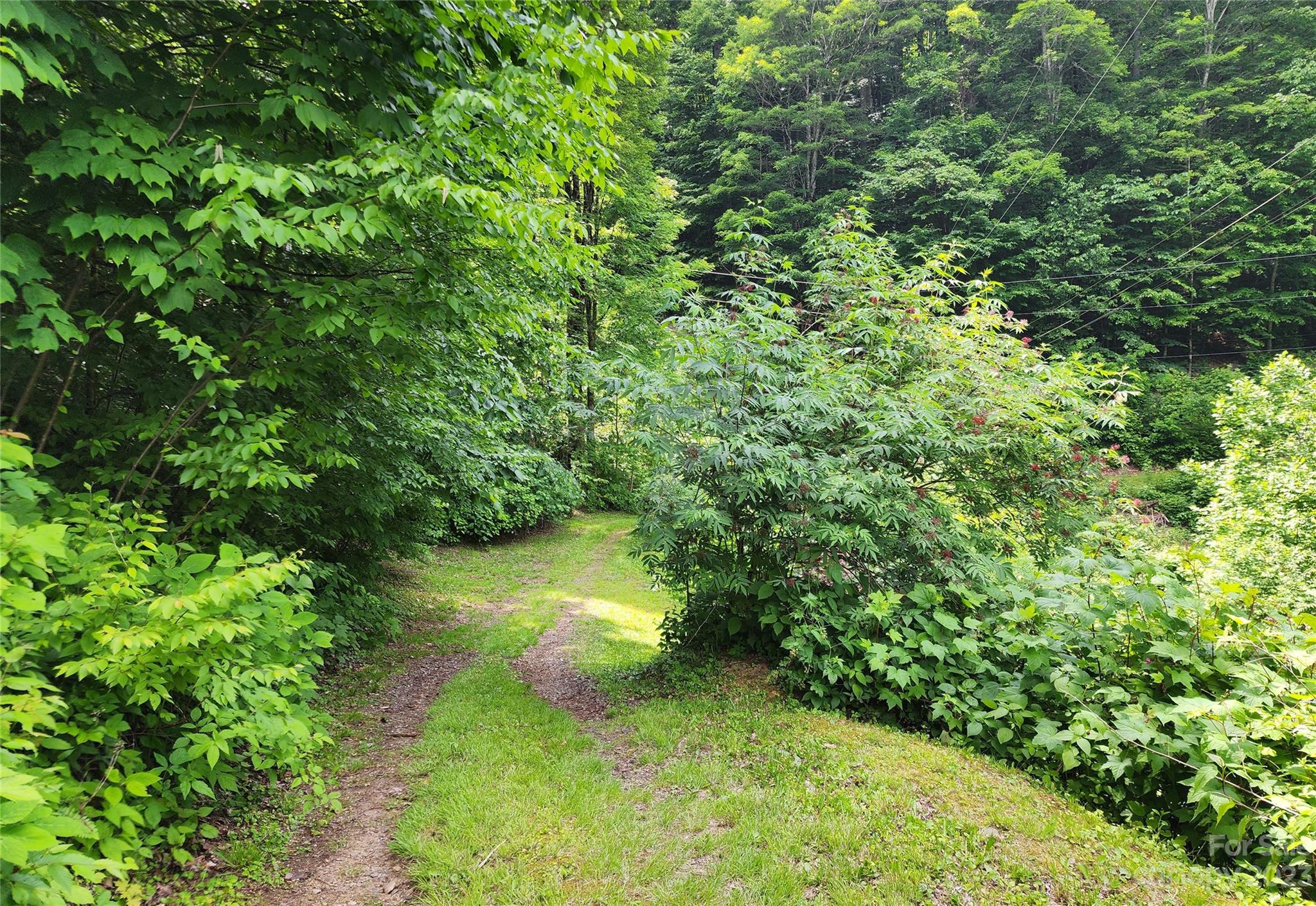 436 Ogles Gap Road Burnsville NC 28714