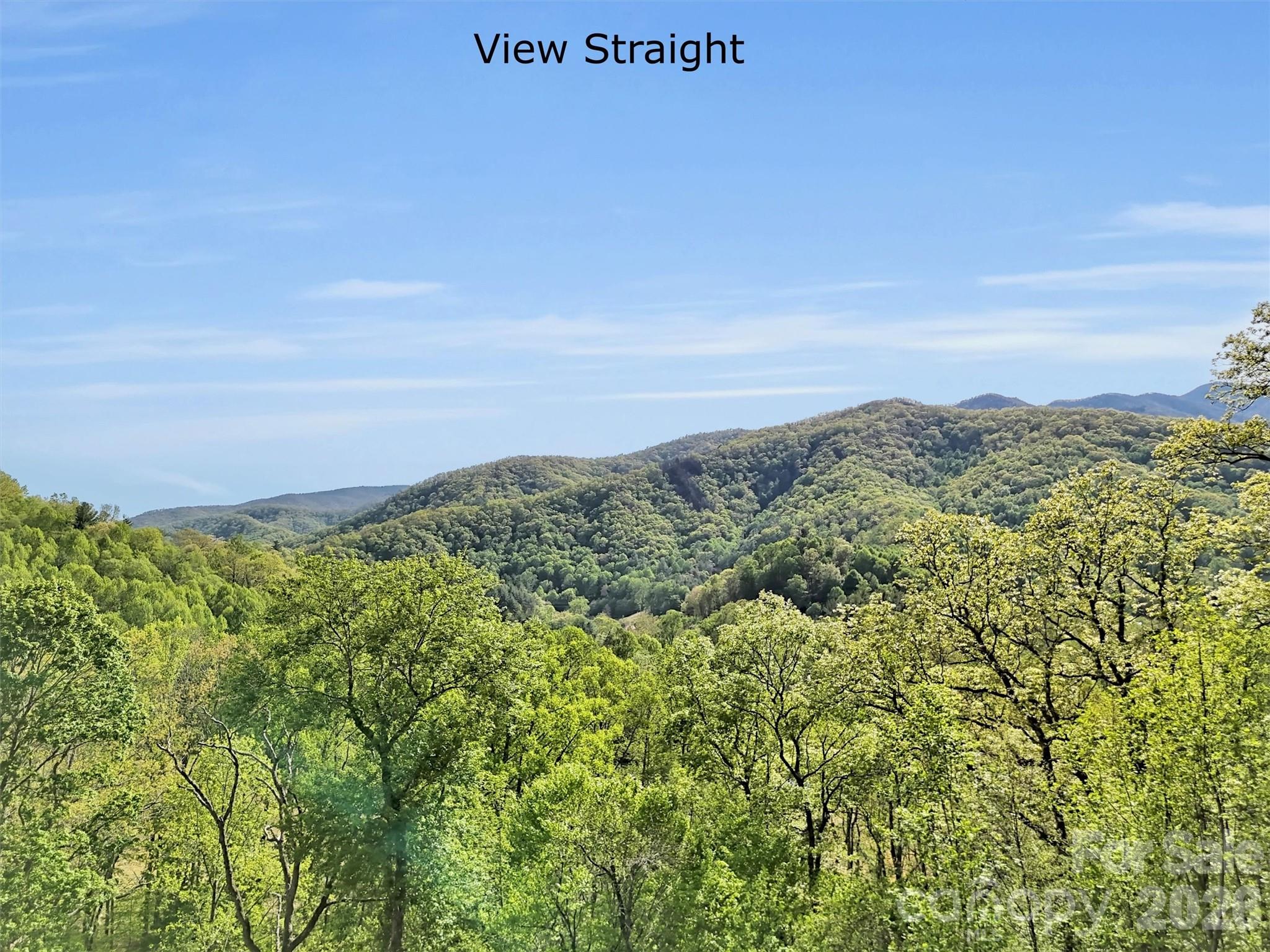 455 Chinquapin Road Canton NC 28716