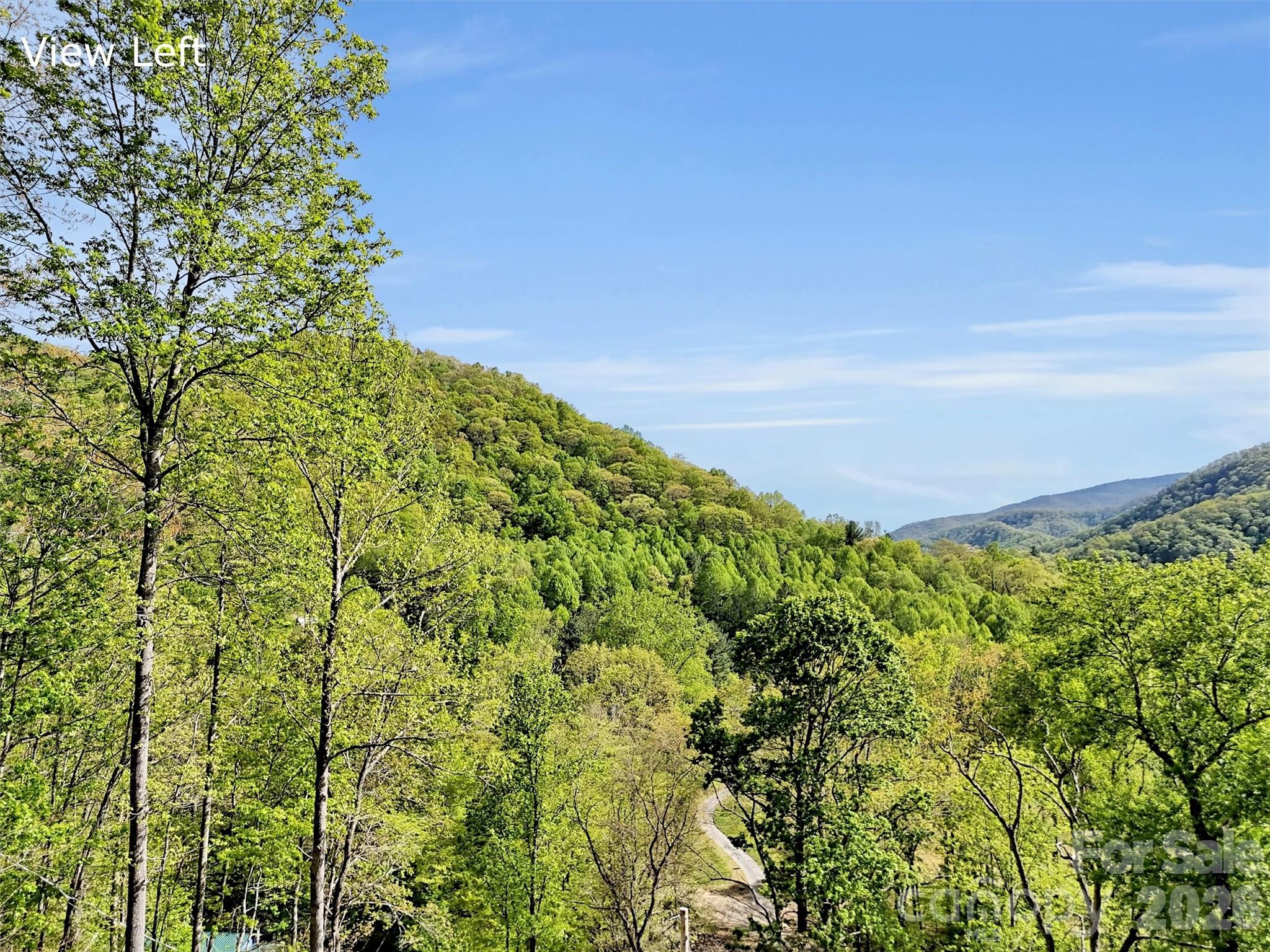 455 Chinquapin Road Canton NC 28716