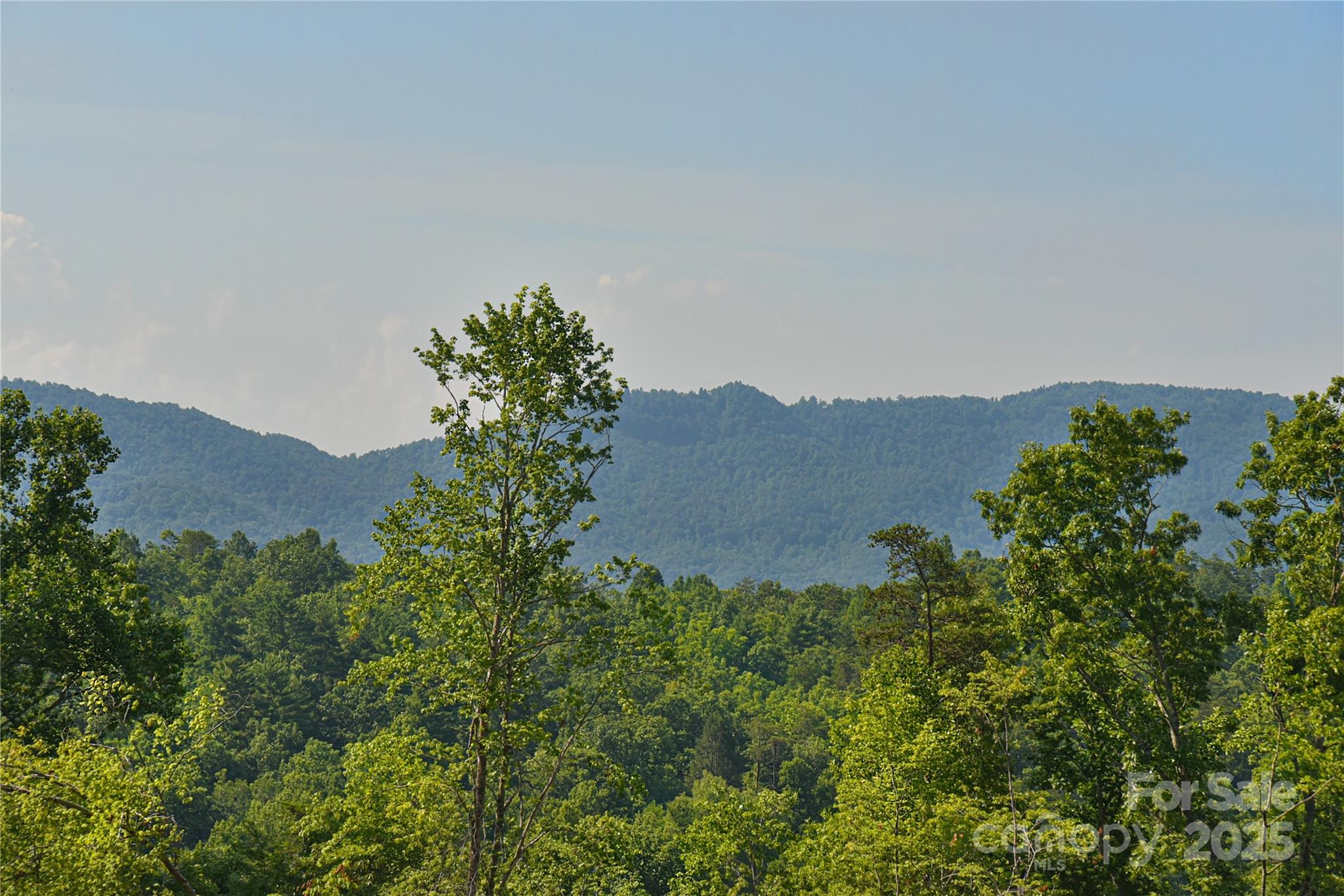 46 Honeycomb Drive Old Fort NC 28762