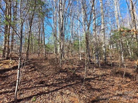 536 Hickory Springs Road Burnsville NC 28714