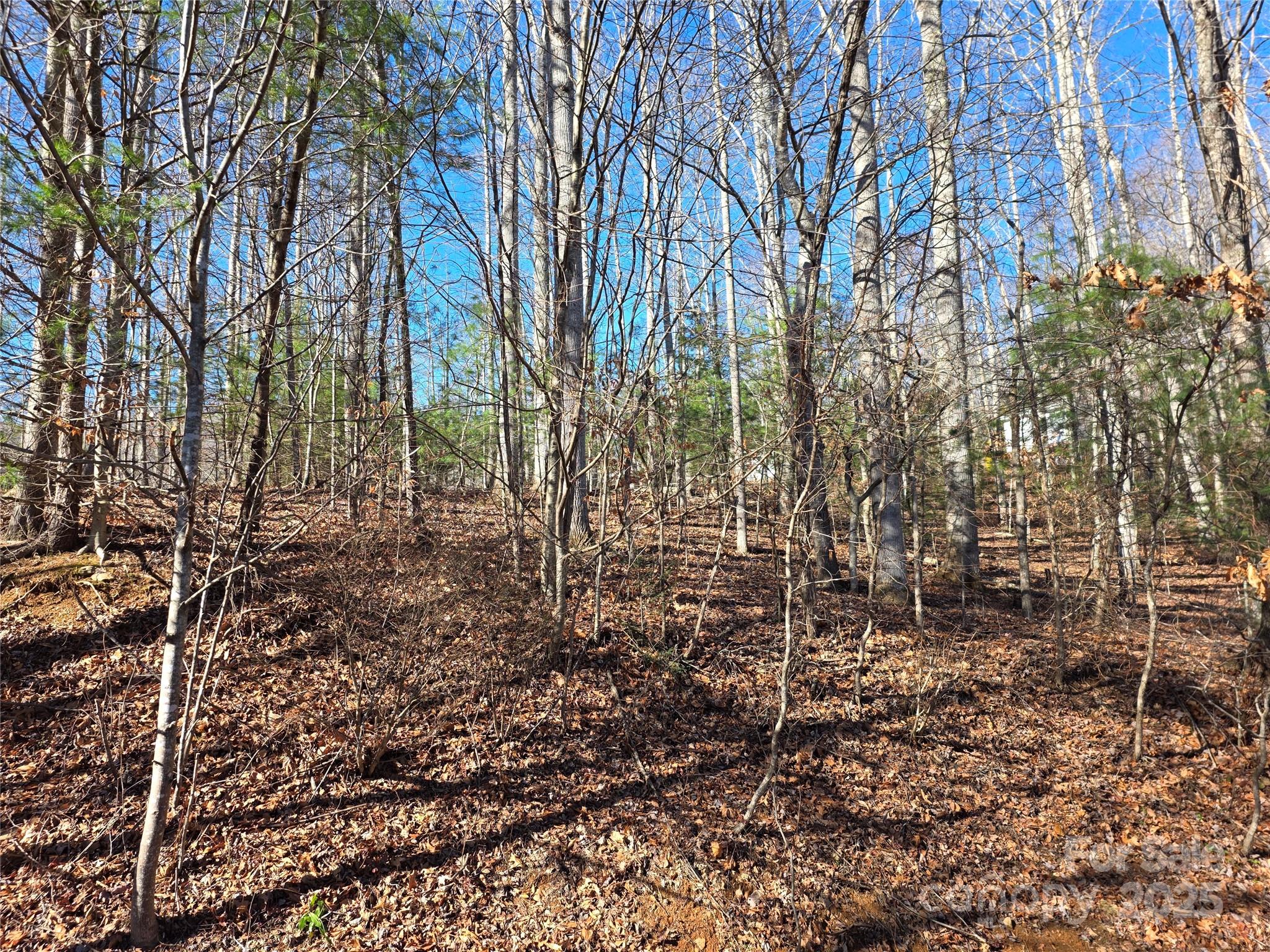 536 Hickory Springs Road Burnsville NC 28714