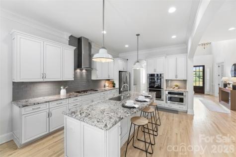 1009 Princessa Drive Matthews NC 28104