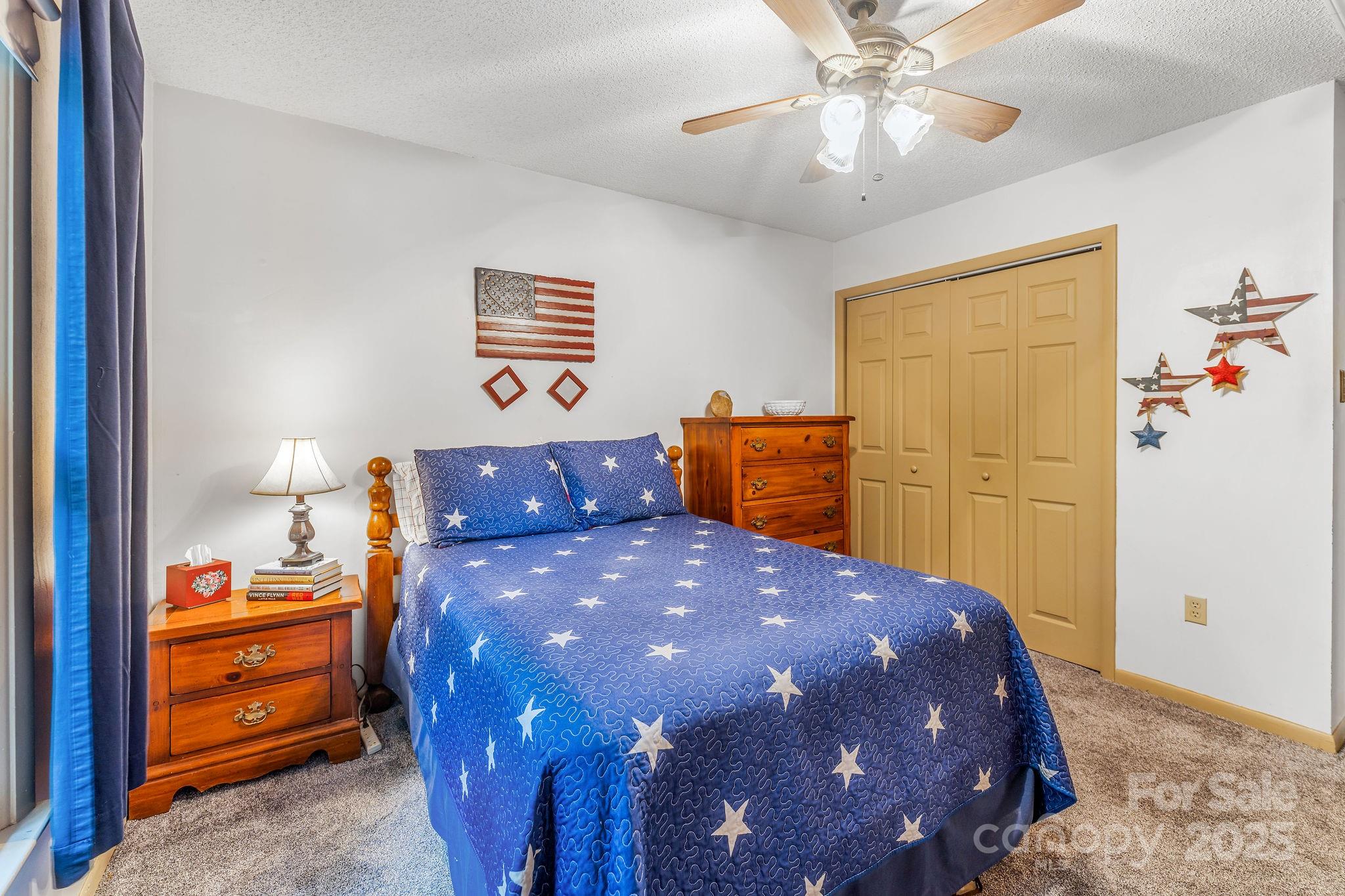 16 Jonway Court Candler NC 28715
